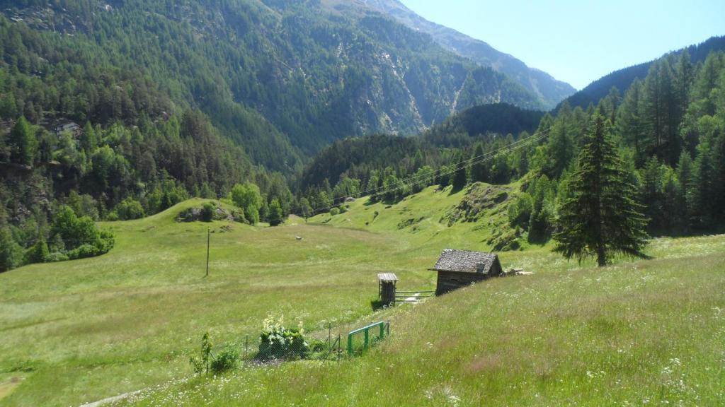 Pension Fiegl Sölden Buitenkant foto